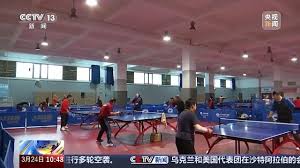 乒乓球台内正手对拉球